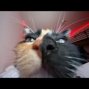 Meet your Posher, Alondra